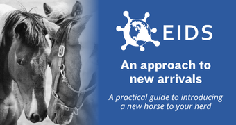 EIDS New arrivals guide